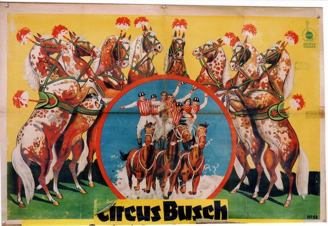 Cirque Busch