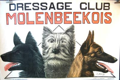 NOIR Dressage Club Molenbekois