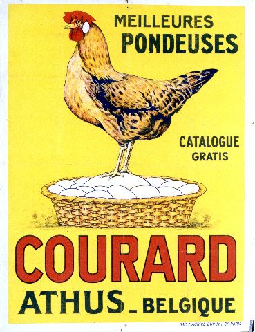 P. DEL Pondeuses Courard