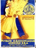 Delcominette Nitrate d’Ammoniaque