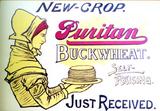 New-crop Puritan Buckwheat
