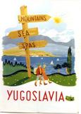 Vidic Yugoslavia