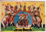 Cirque Busch